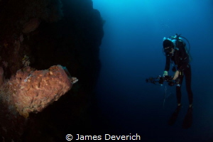 Looking at nature looking at you / Diver watches nature t... by James Deverich 